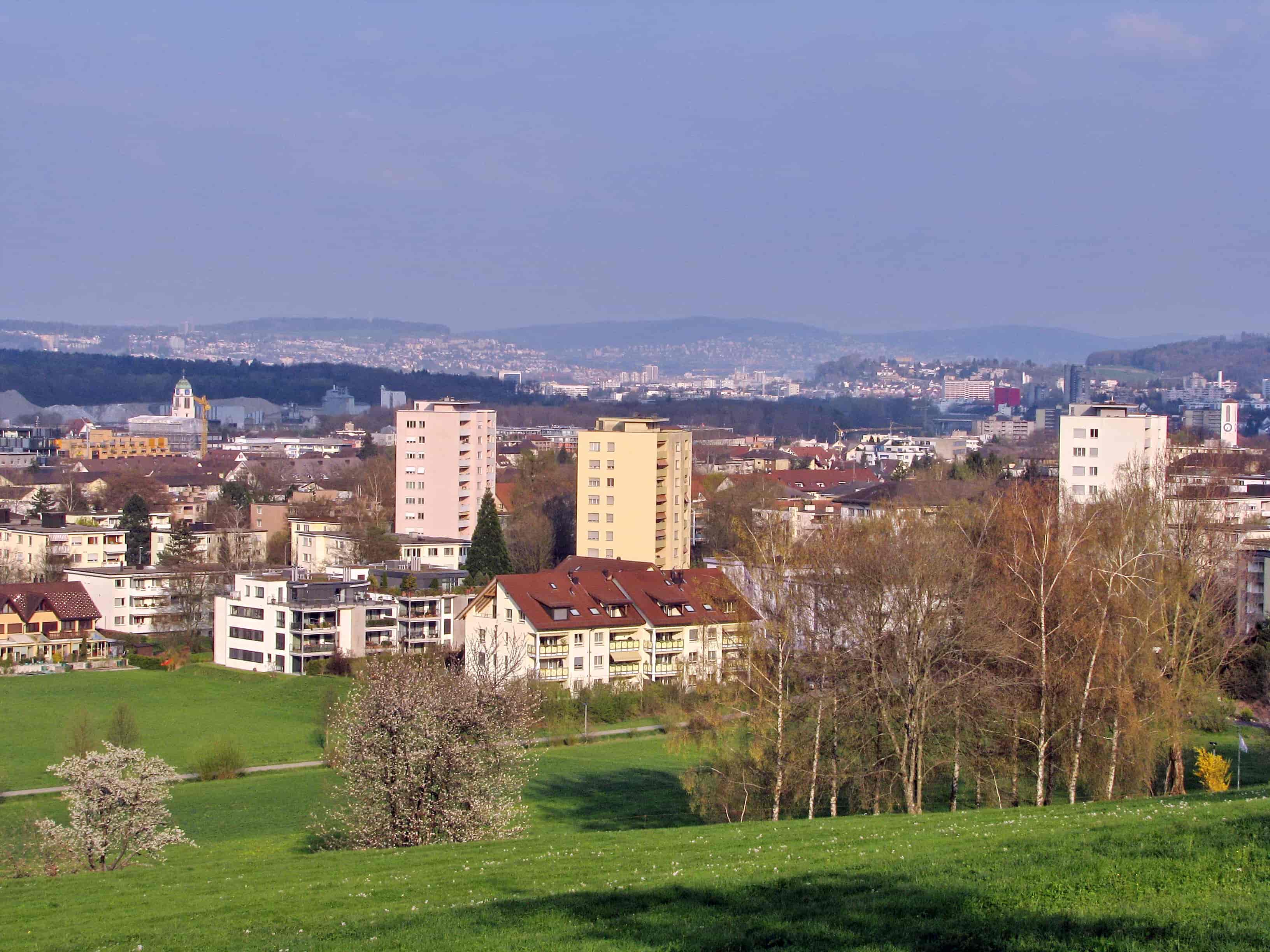 Umzugs- & Reinigungsunternehmen in Dietikon
