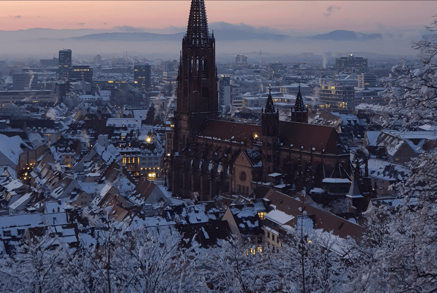 Umzugs- & Reinigungsunternehmen in Freiburg
