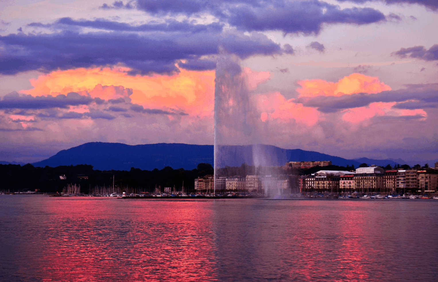 Umzugs- und Reinigungsservices in Genf