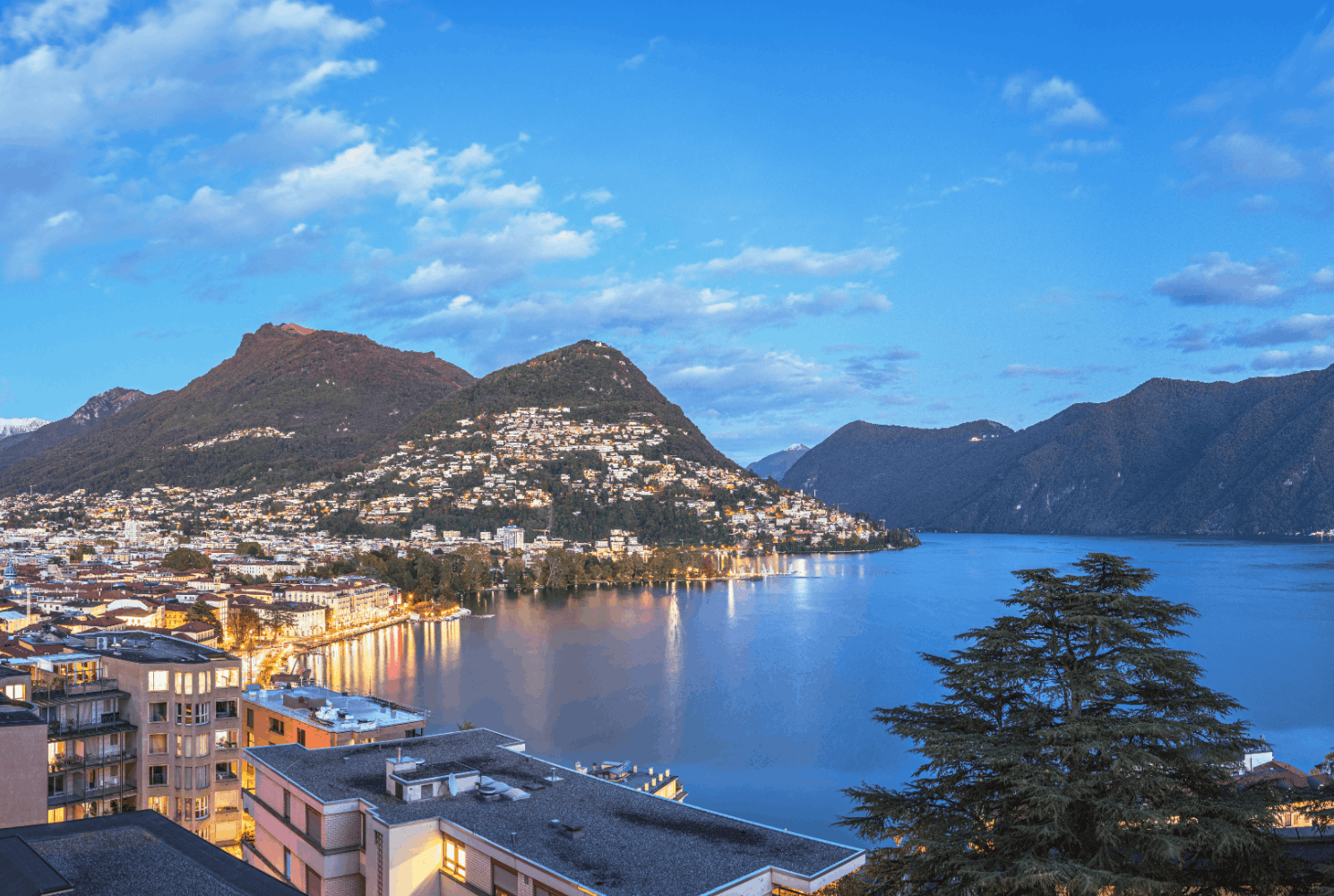 Umzugs- & Reinigungsunternehmen in Lugano