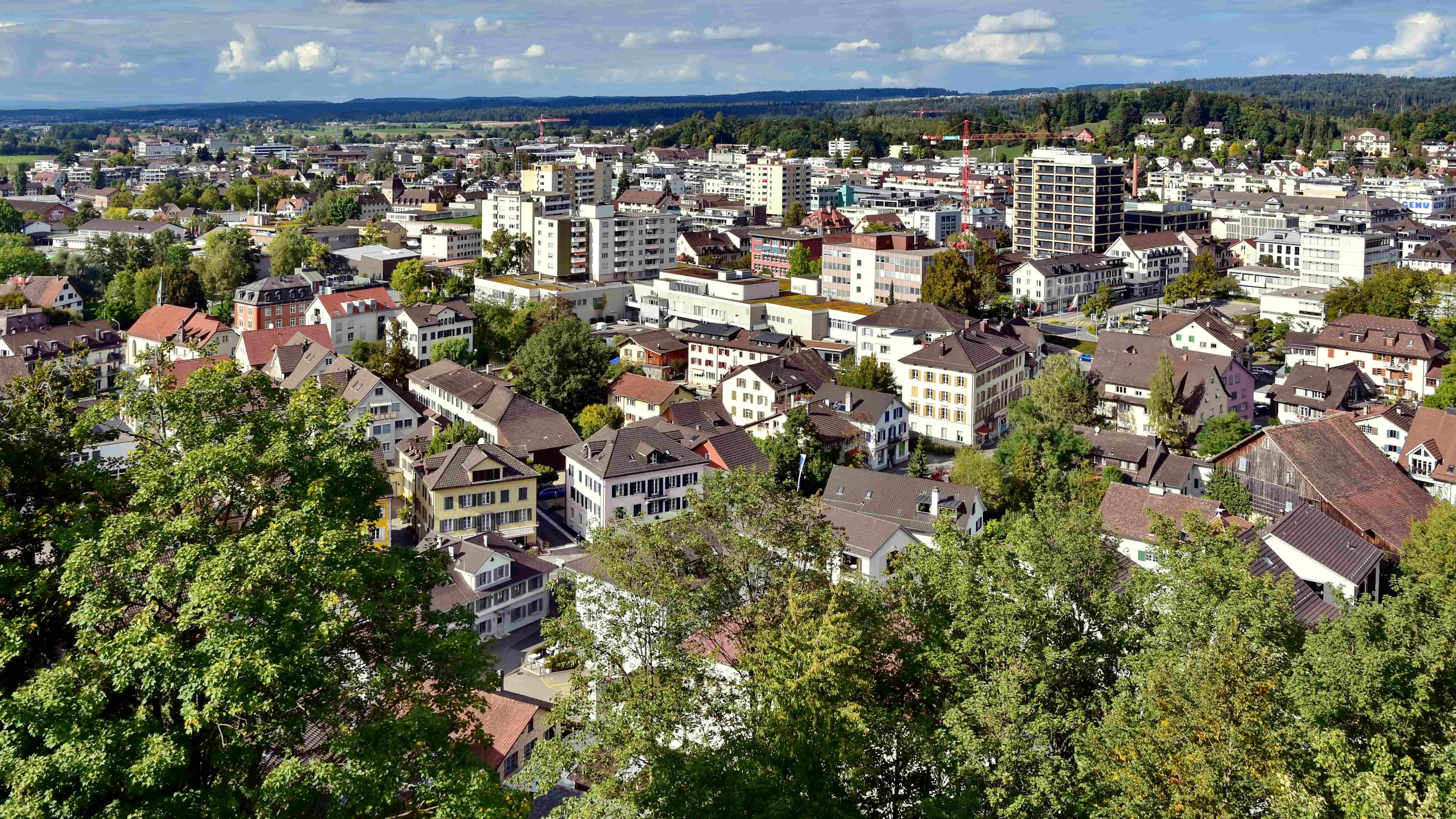 Umzugs- & Reinigungsunternehmen in Uster