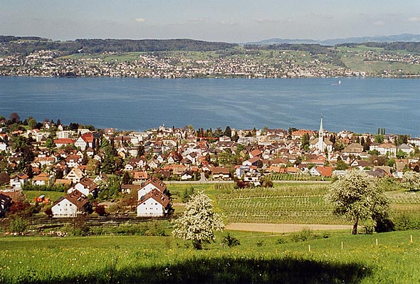 Umzugs- & Reinigungsunternehmen in Wädenswil