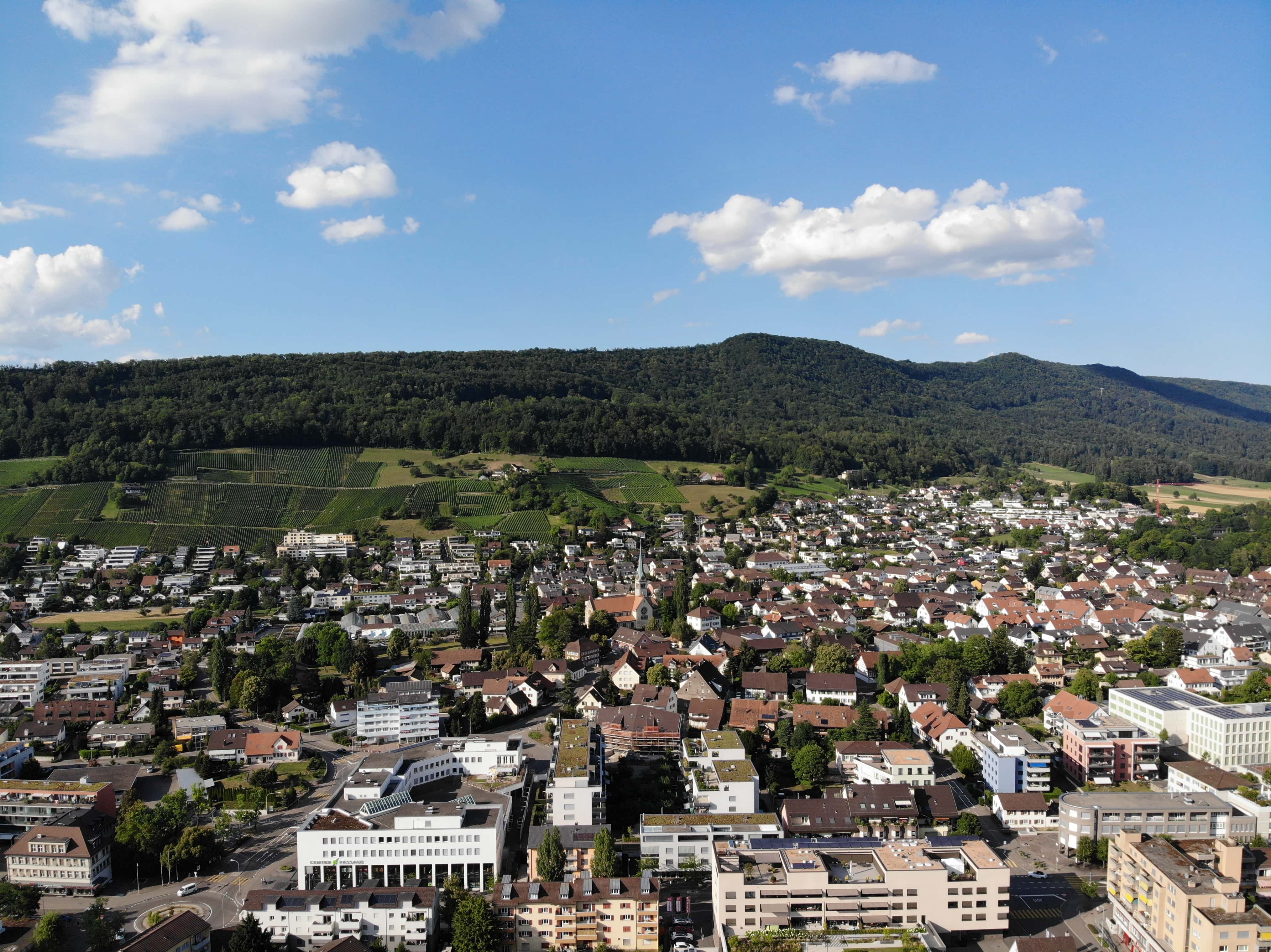 Umzugs- & Reinigungsunternehmen in Wettingen